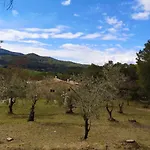 Lejlighed Mas Tarres