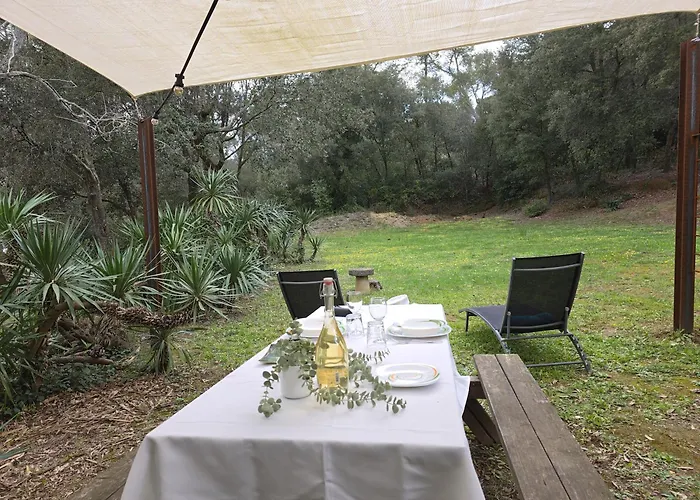 Mas Tarres * 马德雷马尼亚