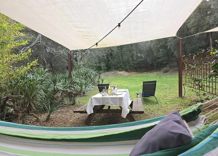 Mas Tarres 马德雷马尼亚